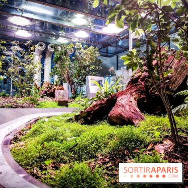 Bio-inspirée, la nouvelle expo permanente à la Cité des Sciences et de l'Industrie