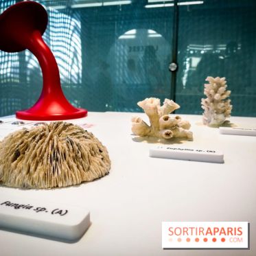 Bio-inspirée, la nouvelle expo permanente à la Cité des Sciences et de l'Industrie