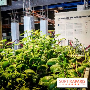 Bio-inspirée, la nouvelle expo permanente à la Cité des Sciences et de l'Industrie