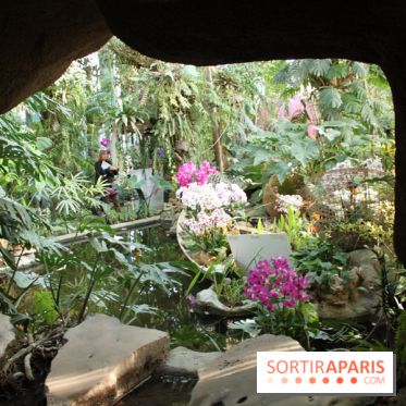 Exposition Mille & une orchidées au Jardin des Plantes