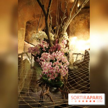 Exposition Mille & une orchidées au Jardin des Plantes