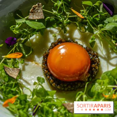 Au_Top, le restaurant rooftop gourmand