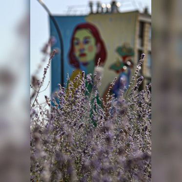 Street Art à Versailles, Réenchanter la ville de Quai 36