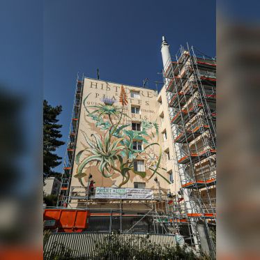 Street Art à Versailles, Réenchanter la ville de Quai 36