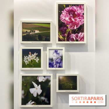 La beauté se cultive, Chanel au Jardin des Plantes