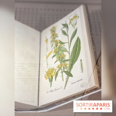 La beauté se cultive, Chanel au Jardin des Plantes