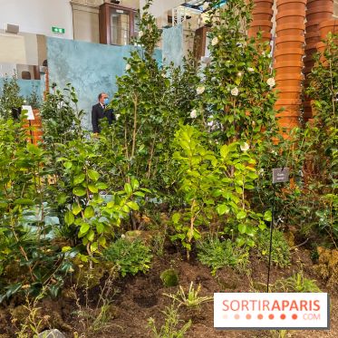 La beauté se cultive, Chanel au Jardin des Plantes