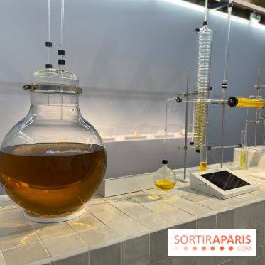 La beauté se cultive, Chanel au Jardin des Plantes