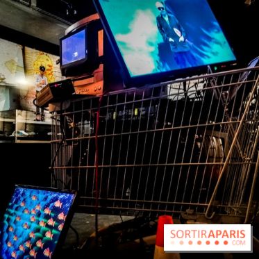 Mythologies du poisson rouge, l'exposition de l'Appart Renoma, nos photos