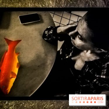 Mythologies du poisson rouge, l'exposition de l'Appart Renoma, nos photos