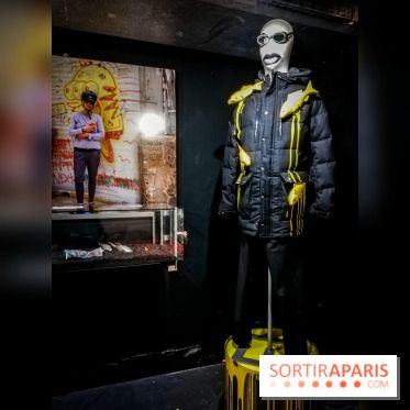 Mythologies du poisson rouge, l'exposition de l'Appart Renoma, nos photos