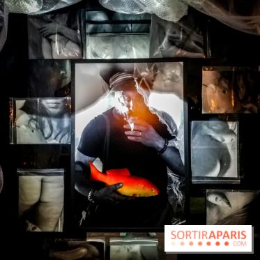 Mythologies du poisson rouge, l'exposition de l'Appart Renoma, nos photos