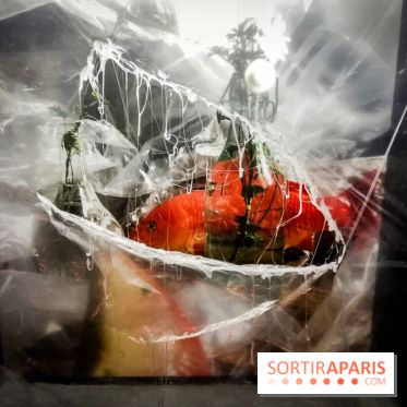 Mythologies du poisson rouge, l'exposition de l'Appart Renoma, nos photos