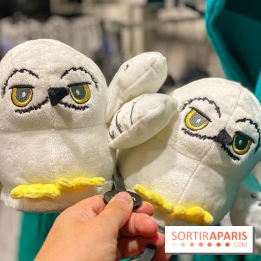 Les Chaussons Hedwige