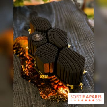 La Bûche de Noël Tison du Prince de Galles Paris par Tristan Rousselot