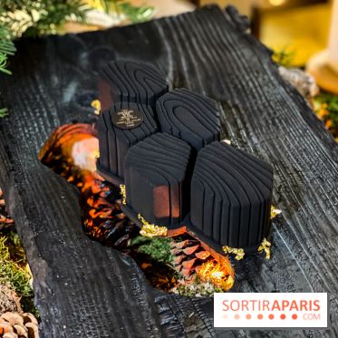 La Bûche de Noël Tison du Prince de Galles Paris par Tristan Rousselot