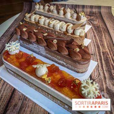 Photos : Bûches et créations de Noël Dalloyau 2020