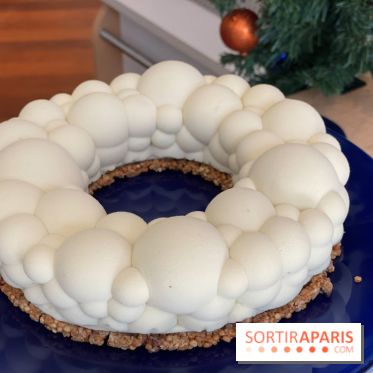 Photos : Bûches et créations de Noël Dalloyau 2020