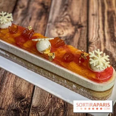 Photos : Bûches et créations de Noël Dalloyau 2020