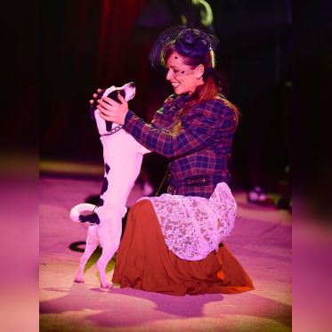 Voyage dans le temps, le spectacle du Cirque Bormann