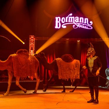 Voyage dans le temps, le spectacle du Cirque Bormann