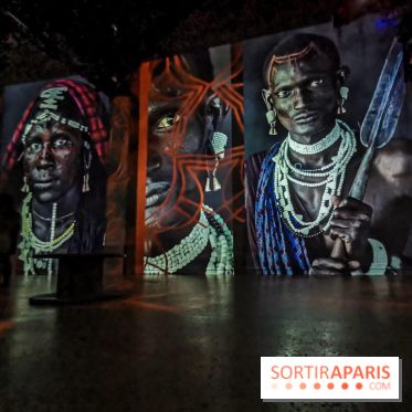 Photos : Exposition immersive Jimmy Nelson : The last sentinels à l’Atelier des Lumières 