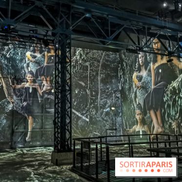 Photos : Exposition immersive Jimmy Nelson : The last sentinels à l’Atelier des Lumières 