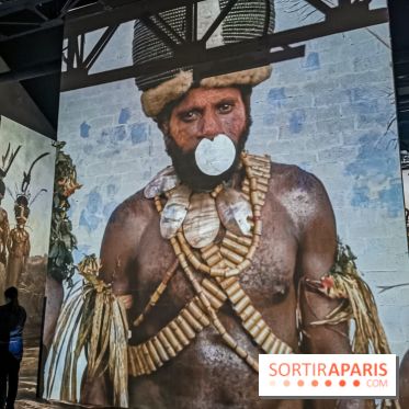 Photos : Exposition immersive Jimmy Nelson : The last sentinels à l’Atelier des Lumières 