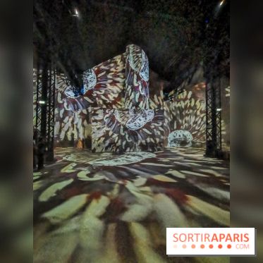 Photos : Exposition immersive Jimmy Nelson : The last sentinels à l’Atelier des Lumières 