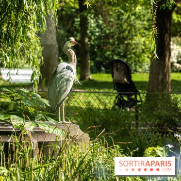 Visuel Paris Parc Monceau