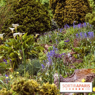 Visuel Paris Parc Monceau