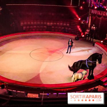 Dingue du Cirque Bouglione au Cirque d'Hiver