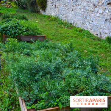 Le Domaine de la Corniche