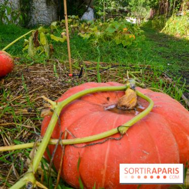 Le Domaine de la Corniche