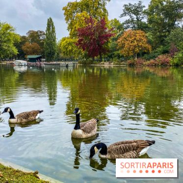 Visuel Paris, Lac Daumesnil bois de Vincennes