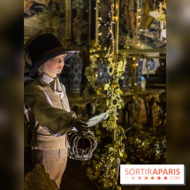 Photos : Vaux-le-vicomte en Lumières