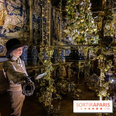 Photos : Vaux-le-vicomte en Lumières