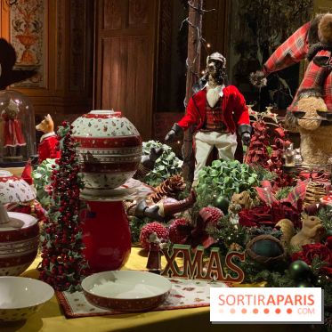 Photos : Vaux-le-vicomte en Lumières