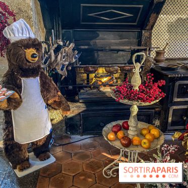 Photos : Vaux-le-vicomte en Lumières