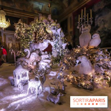 Photos : Vaux-le-vicomte en Lumières