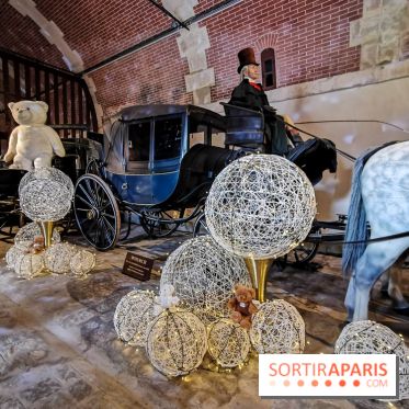 Photos : Vaux-le-vicomte en Lumières