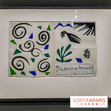 Matisse, comme un roman : nos photos de l'exposition du Centre Pompidou