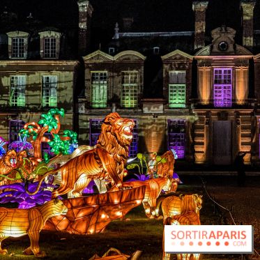 Photos : Thoiry Lumières Sauvages 2020-2021 roi lion