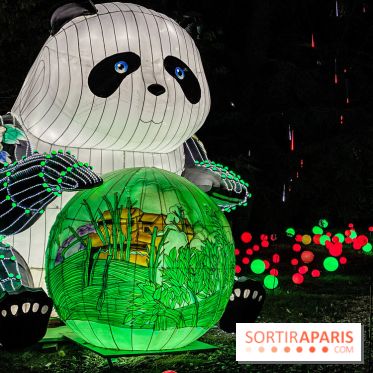 Photos : Thoiry Lumières Sauvages 2020-2021