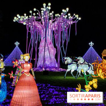 Photos : Thoiry Lumières Sauvages 2020-2021