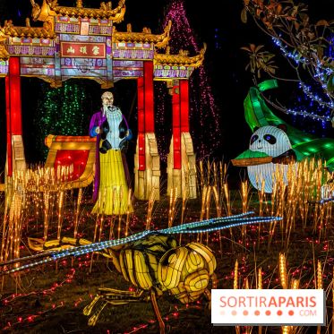 Photos : Thoiry Lumières Sauvages 2020-2021