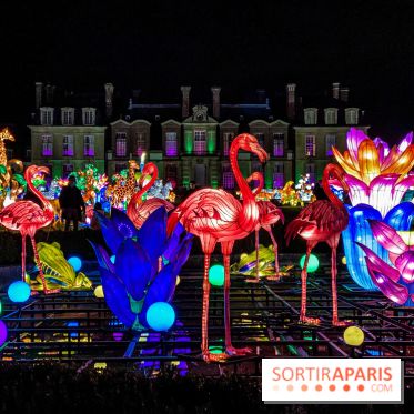 Photos : Thoiry Lumières Sauvages 2020-2021