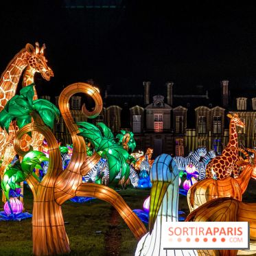 Photos : Thoiry Lumières Sauvages 2020-2021