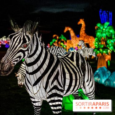 Photos : Thoiry Lumières Sauvages 2020-2021