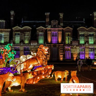 Photos : Thoiry Lumières Sauvages 2020-2021 roi lion